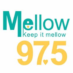 mellow 975 thailand